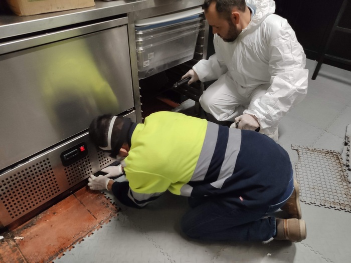 Desinfección de espacios en Mollet