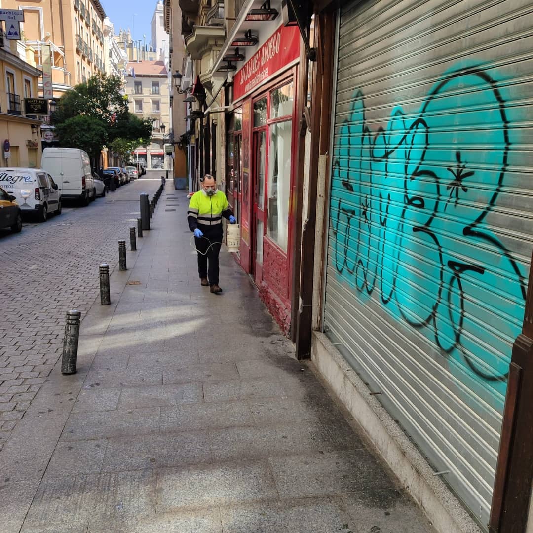 Servicio de retirada de nidos de avispas y control de insectos voladores por Fumigaya