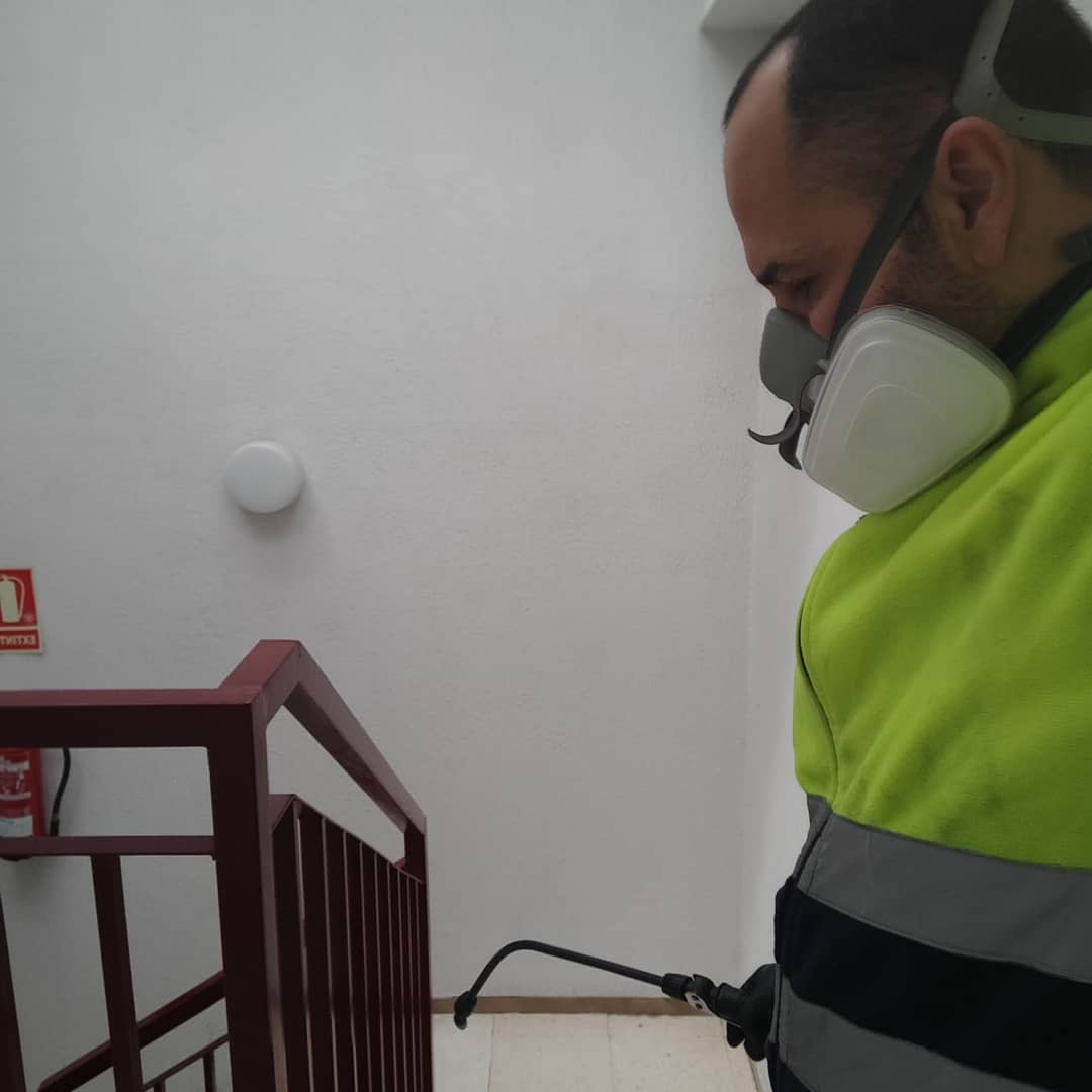 Tratamiento de desinsectaci贸n de hormigas y cucarachas de suelo con gel profesional en Barcelona