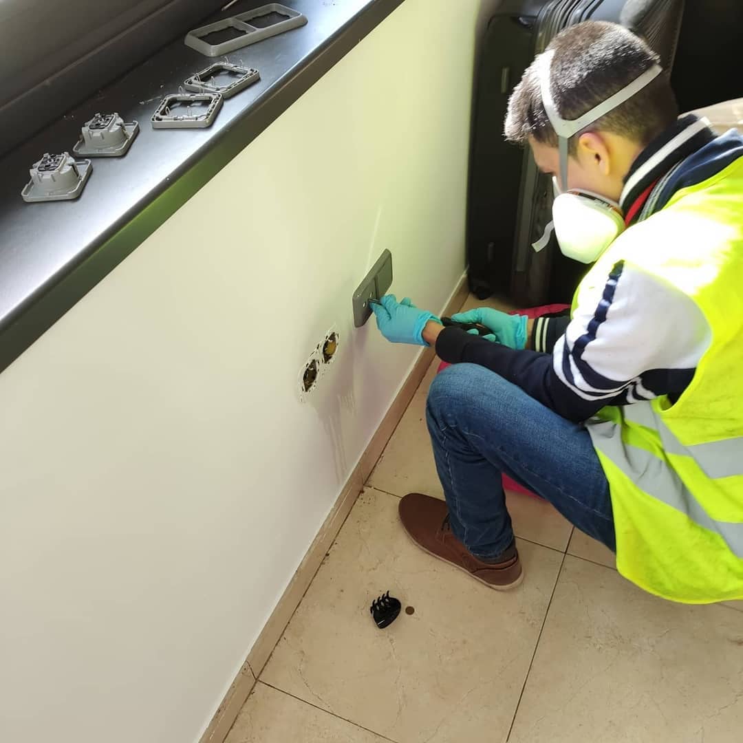 Plan de prevenci贸n de plagas y desratizaci贸n para almacenes y naves industriales