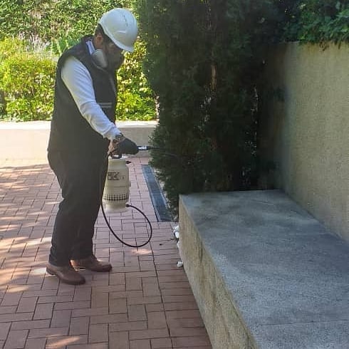T茅cnico experto realizando inspecci贸n de plagas en un local comercial de Ciutat Vella