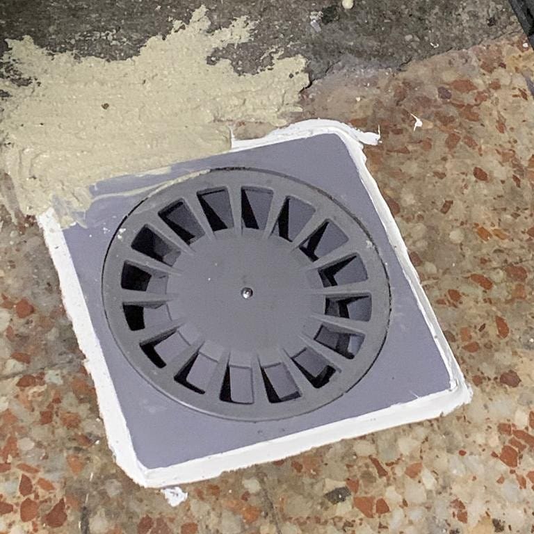 Control de plagas de roedores en zonas comunes y alcantarillado por Fumigaya